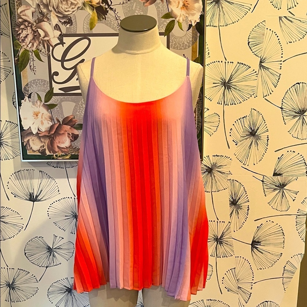 Skies are blue L Gradient Red and Purple Women's Top
